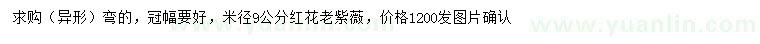 求購米徑9公分紅花老紫薇