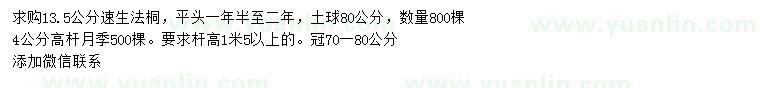 求購13.5公分速生法桐、4公分高桿月季