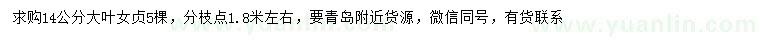求購14公分大葉女貞