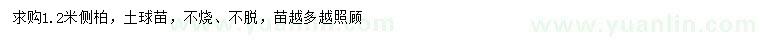 求購(gòu)1.2米側(cè)柏
