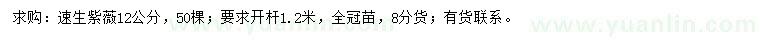 求購12公分速生紫薇