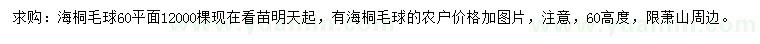 求購高60公分海桐球