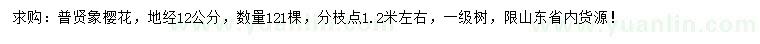 求購地徑12公分普賢象櫻花