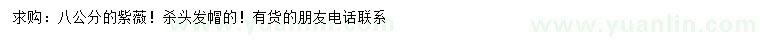 求購8公分紫薇