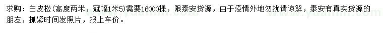 求購高2米白皮松