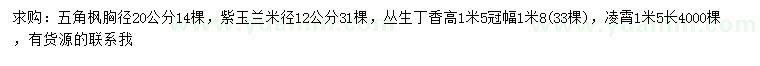 求購五角楓、紫玉蘭、叢生丁香等