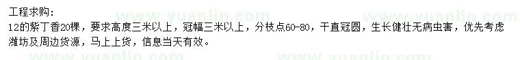 求購12公分紫丁香