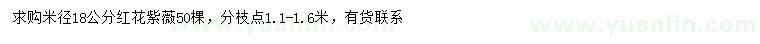 求購米徑18公分紅花紫薇