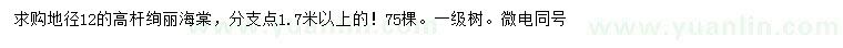 求購地徑12公分高桿絢麗海棠
