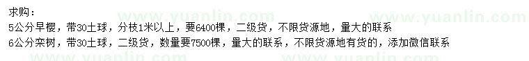 求購5公分早櫻、6公分欒樹