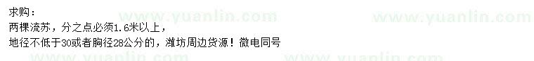 求購胸徑28公分流蘇