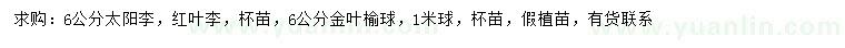 求購太陽李、紅葉李、金葉榆球