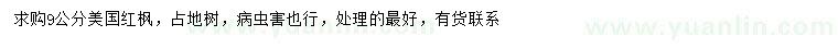 求購9公分美國紅楓