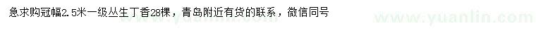 求購(gòu)冠幅2.5米叢生丁香