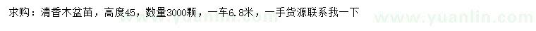 求購高45公分清香木盆苗