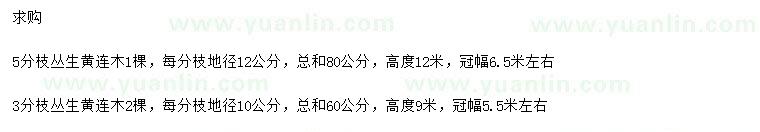 求購3、5分枝叢生黃連木