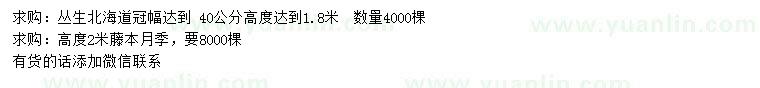 求購高1.8米叢生北海道、高2米藤本月季