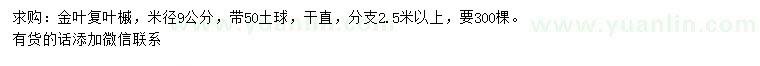求購米徑9公分金葉復葉槭