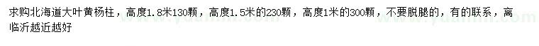 求購高1、1.5、1.8米北海道大葉黃楊柱