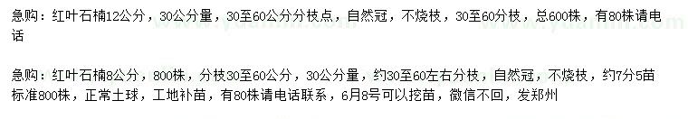 求購(gòu)8、12公分紅葉石楠