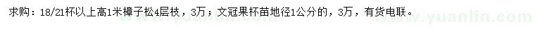 求購高1米樟子松、地徑1公分文冠果杯苗