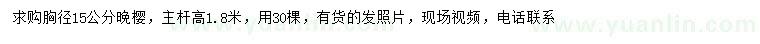 求購胸徑15公分晚櫻