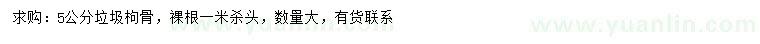 求購(gòu)5公分枸骨