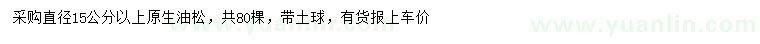 求購(gòu)15公分以上油松