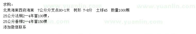 求購北美海棠、西府海棠、法桐等