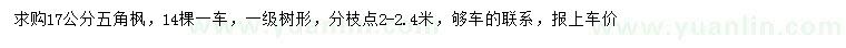 求購(gòu)17公分五角楓