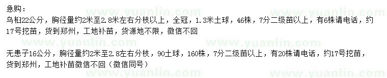 求購22公分、16公分無患子