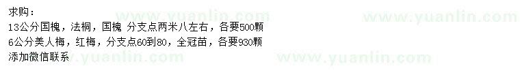 求購(gòu)國(guó)槐、法桐、美人梅等