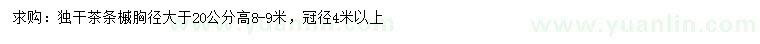 求購(gòu)胸徑20公分以上獨(dú)干茶條槭