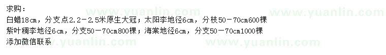 求購(gòu)白蠟、太陽(yáng)李、海棠等