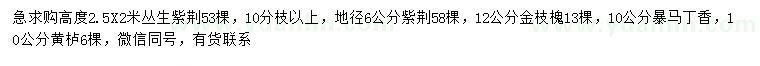 求購(gòu)叢生紫荊、金枝槐、暴馬丁香等