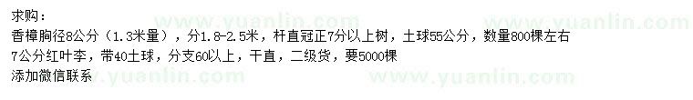 求購胸徑8公分香樟、7公分紅葉李