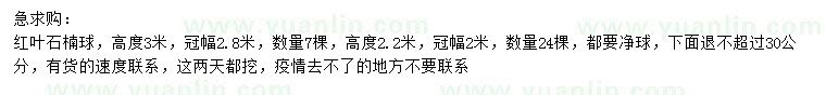 求購高3米紅葉石楠球