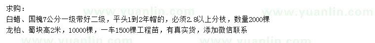求購白蠟、國槐、龍柏等