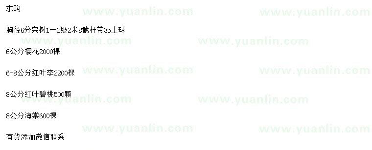 求購(gòu)欒樹、櫻花、紅葉李等