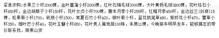 求購(gòu)水果蘭、金葉菖蒲、紅葉石楠等