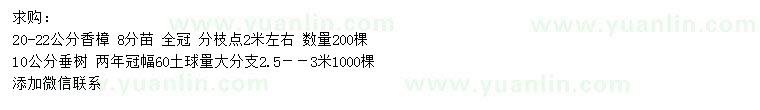 求購20-22公分香樟、10公分垂樹