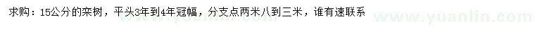 求購(gòu)15公分欒樹(shù)