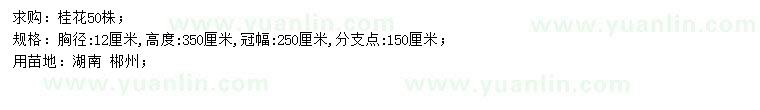 求購胸徑12公分桂花