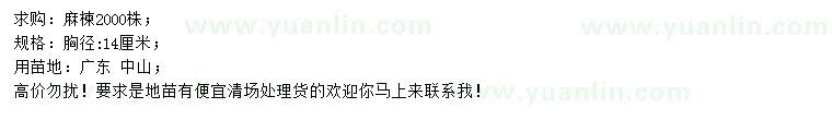 求購(gòu)胸徑14公分麻楝
