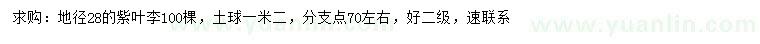 求購地徑28公分紫葉李