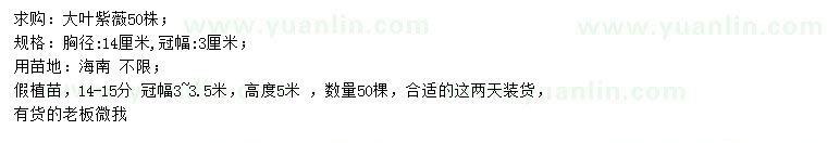 求購胸徑14公分大葉紫薇