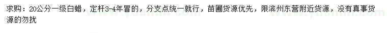 求購20公分一級白蠟