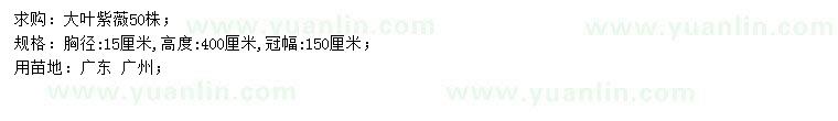 求購(gòu)胸徑15公分大葉紫薇