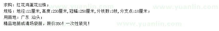 求購地徑11公分紅花雞蛋花