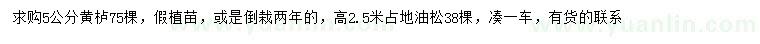 求購5公分黃櫨、高2.5米油松
